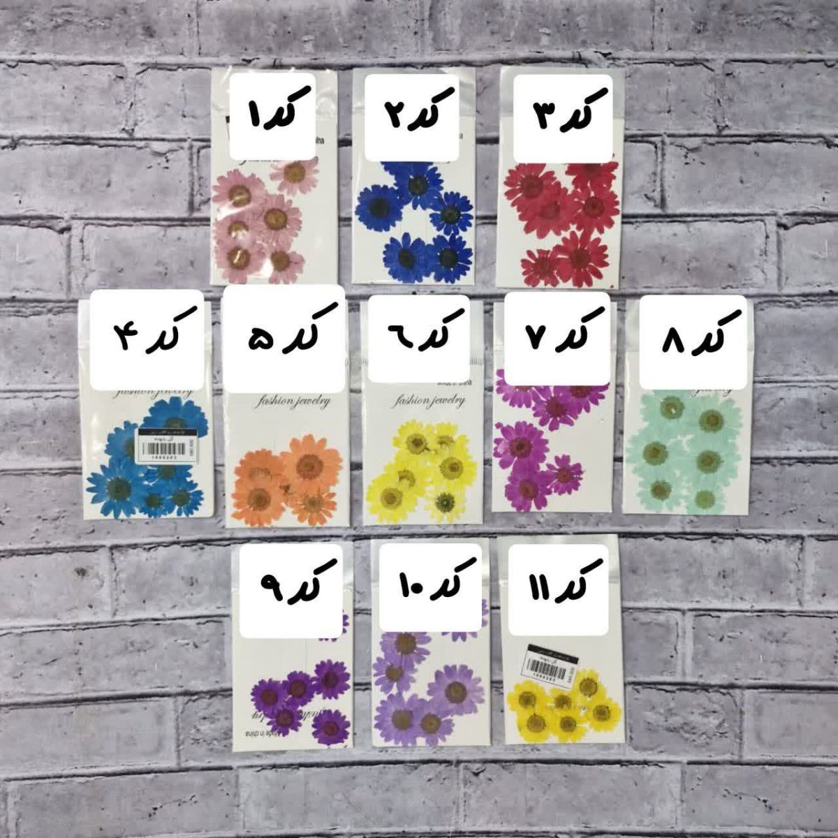گل خشک - Image 2