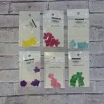 گل خشک رنگی