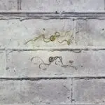 دستبند زنجیر آسانسوری