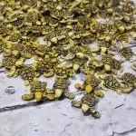 ماکت لاکپشت